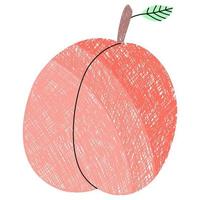 Peaches on a white background. Fruit vector. Hand drawn vector. Vector for spring decoration. Hand drawn lines vector.