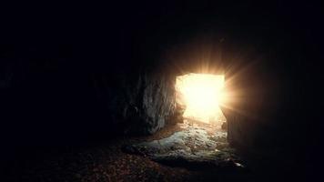 große dunkle höhle und sonnenlicht aus dem dschungelwald video