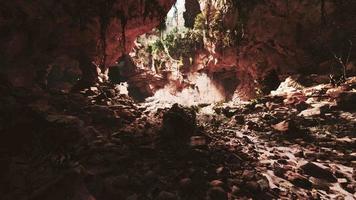grande caverna rochosa de fadas com plantas verdes