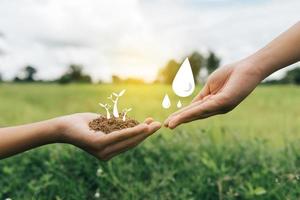 día Mundial del Medio Ambiente. foto