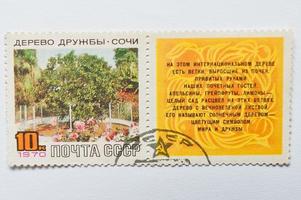 sello postal impreso en la urss, muestra el árbol de la amistad, un árbol de cítricos único, sochi, rusia, alrededor de 1970 foto