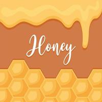 nice honey card vector