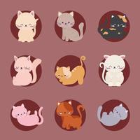 nine cute cats vector