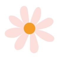 pink daisy design vector