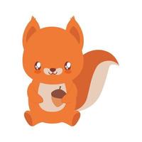 great baby squirrel vector