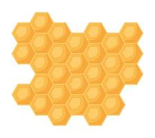 honeycomb panel illustration vector