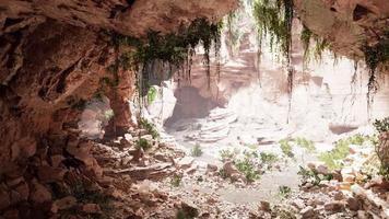 inside a limestone cave with plants and sun shine video