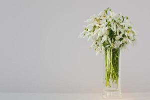 Snowdrop flowers at vase on white  background photo