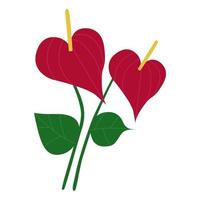 Anthurium, a tropical red flower. Vector. In the style of hand drawing.
