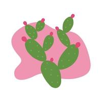 Cactus green with pink flowers. Vector. In the style of hand drawing. vector