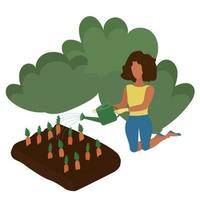 la niña está trabajando en el jardín, regando zanahorias. vector