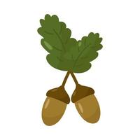 Acorns. Oak branch. Isolated on a white background. Autumn vector. In the style of a hand drawing. vector