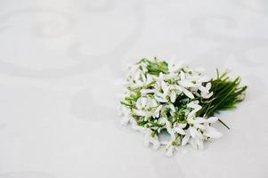 Snowdrop flowers at white glossiness background photo