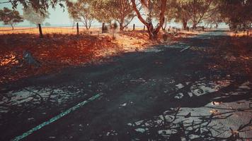 strada aperta in australia con alberi a cespuglio video