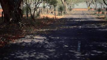 outback road with dry grass and trees
