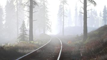 el ferrocarril vacío atraviesa un bosque nublado por la mañana video