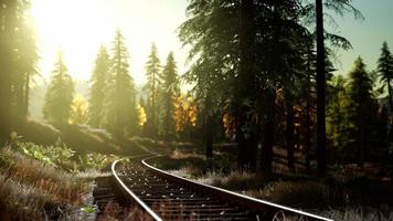 höstfärger längs ett järnvägsspår vid solnedgången video