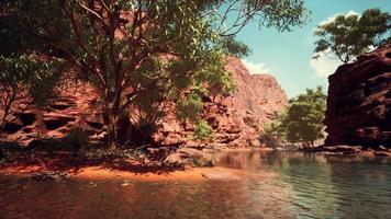 reflexo no rio colorado no grand canyon video