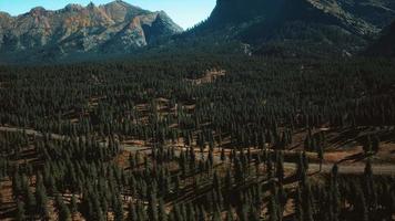 vue aérienne de la route de montagne et de la forêt video