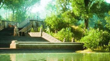 Tranquil Pond Framed by Lush Green Woodland Park in Sunshine video