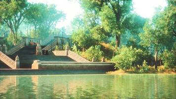 Tranquil Pond Framed by Lush Green Woodland Park in Sunshine video