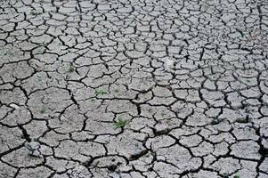 Cracked ground, soil salinity, ecological disaster photo