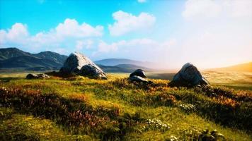 meadow with huge stones among the grass on the hillside at sunset video