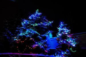 Christmas tree with garlands outdoor on frozen evening photo