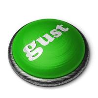 gust word on green button isolated on white photo