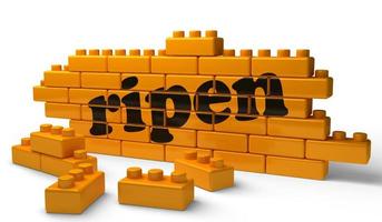 ripen word on yellow brick wall photo