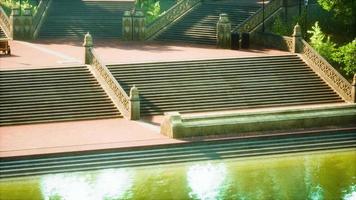 lagoa tranquila emoldurada por um parque florestal verdejante ao sol video