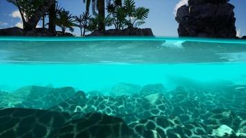 vista suddivisa sezione trasversale di acqua di mare e palme sull'isola video