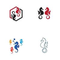 set of sea horse vector