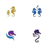 set of sea horse vector