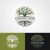 Roots Of Tree logo illustration. Tree vector silhouette.