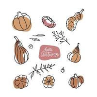 conjunto de calabazas decorativas de varias formas. diseño lineal con formas abstractas para afiches, textiles de cocina, ropa y sitio web. ilustración vectorial dibujada a mano. vector