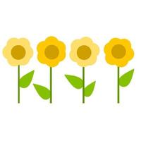 Yellow flowers in a row. Summer plants vector