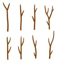 Tree branch. Brown sticks. vector