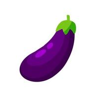 Eggplant. Purple vegetable. Natural vegan food. vector