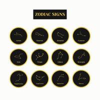 Zodiac signs. A set of black and gold zodiac icons isolated on a white background. Astrological symbols of the zodiac. Vedic Astrology vector