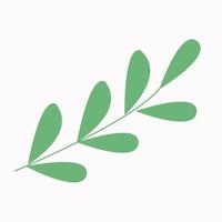 twig of leaves of the plant vector illustration.