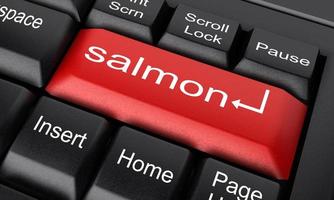 salmon word on red keyboard button photo