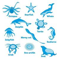 Sea animals set flat illustrations vector