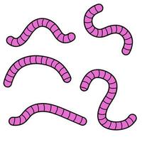 Earthworm. Pink Insect worm set. Bait for fishing. vector