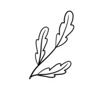 Branch of plant. Leaves in line style. Black and white natural illustration. Minimalism and simple flora. vector