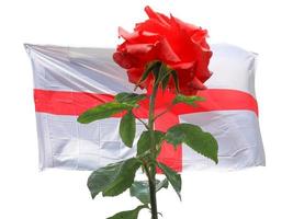 rosa roja sobre la bandera inglesa de inglaterra foto