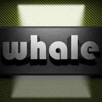 whale word of iron on carbon photo
