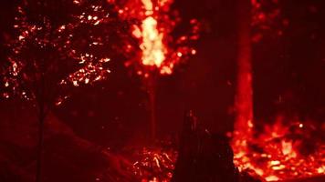 grandes chamas de incêndio florestal video