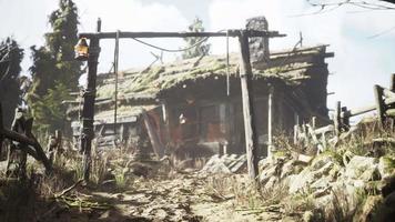 vieux village rétro dans la forêt de pins video