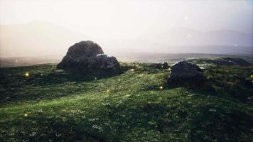 alpine meadow with rocks and green grass video